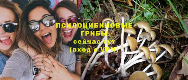 твердый Нефтекумск