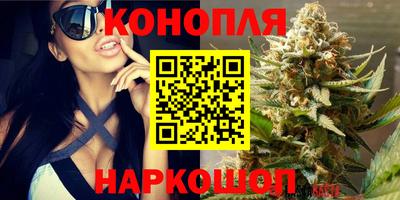 эйфоретик Волгодонск