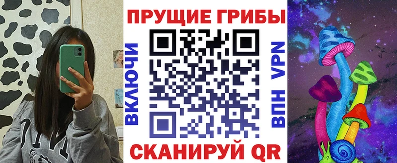 omg зеркало  Каменка  Псилоцибиновые грибы MAGIC MUSHROOMS  купить  сайты 