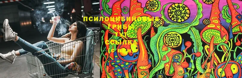 Галлюциногенные грибы Psilocybine cubensis  продажа наркотиков  Каменка 