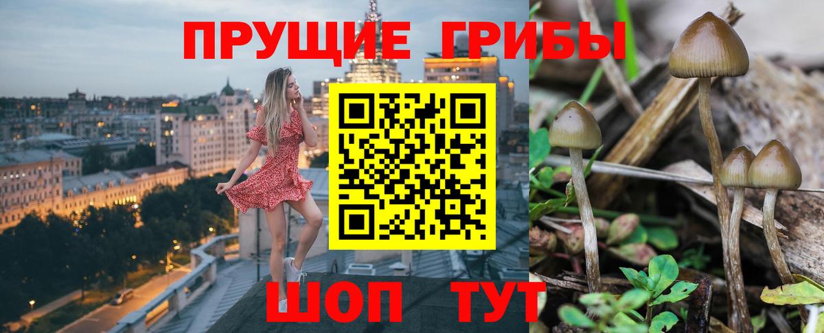 Псилоцибиновые грибы ЛСД  Вход с VPN  Каменка 